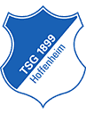   Hoffenheim
   crest