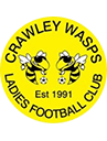     Crawley Wasps Ladies
         crest