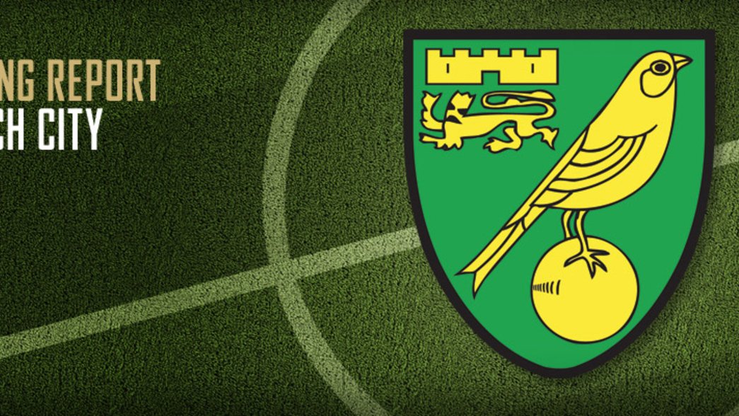 Scouting Report - Norwich City